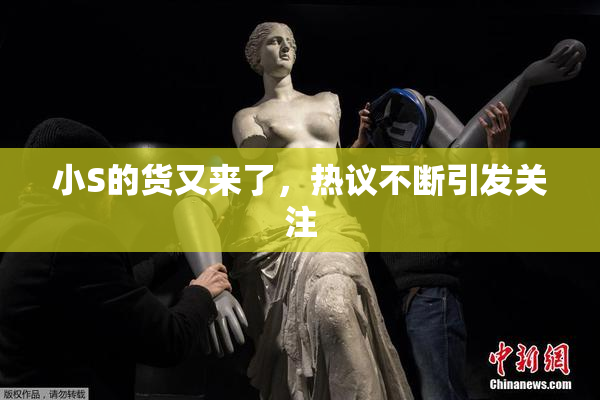 小S的货又来了，热议不断引发关注