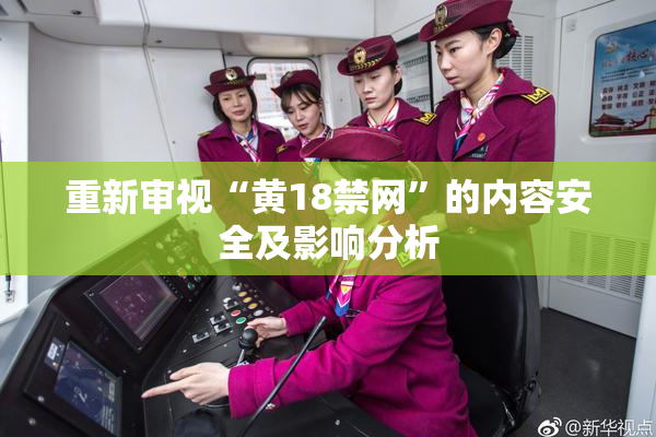 重新审视“黄18禁网”的内容安全及影响分析
