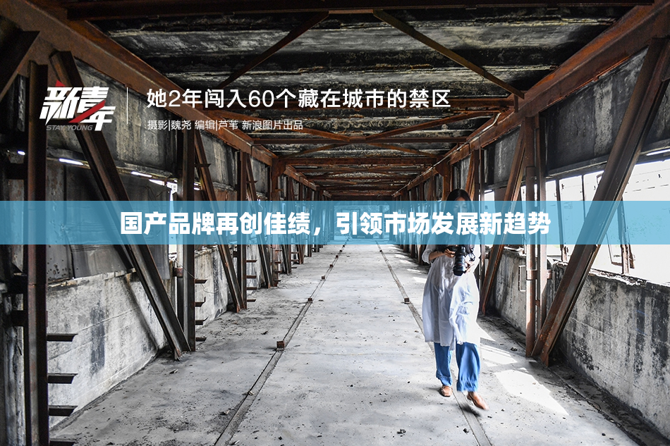 国产品牌再创佳绩，引领市场发展新趋势