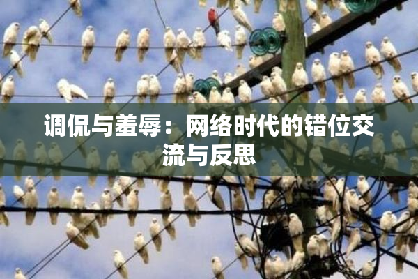调侃与羞辱：网络时代的错位交流与反思