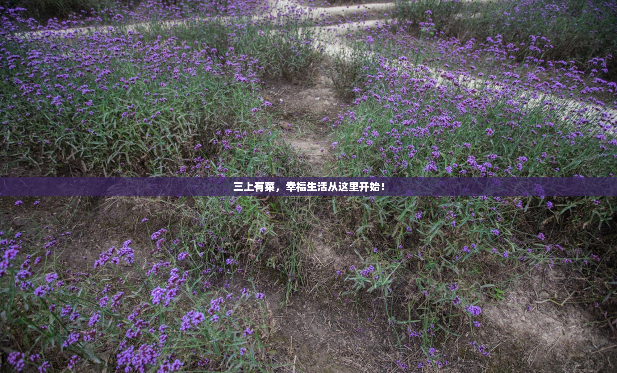 三上有菜，幸福生活从这里开始！