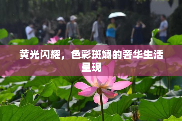 黄光闪耀，色彩斑斓的奢华生活呈现