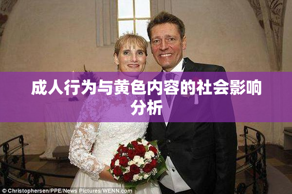 成人行为与黄色内容的社会影响分析