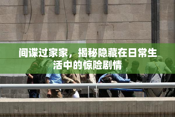 间谍过家家，揭秘隐藏在日常生活中的惊险剧情