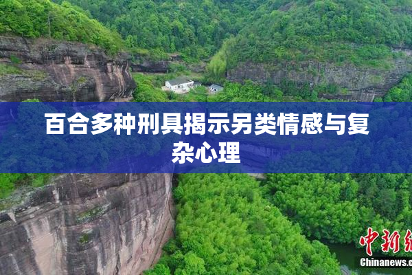 百合多种刑具揭示另类情感与复杂心理