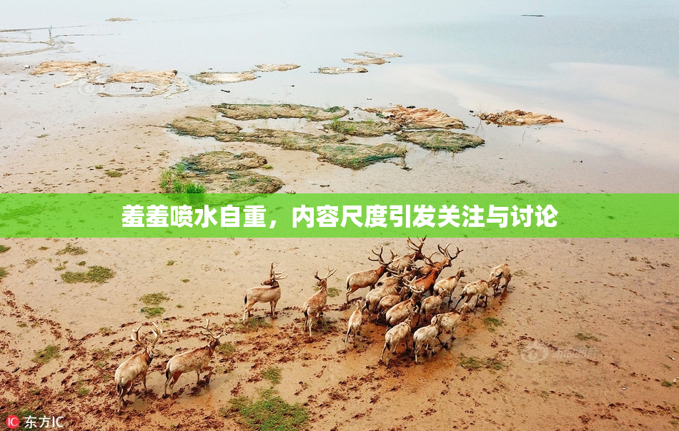 羞羞喷水自重，内容尺度引发关注与讨论