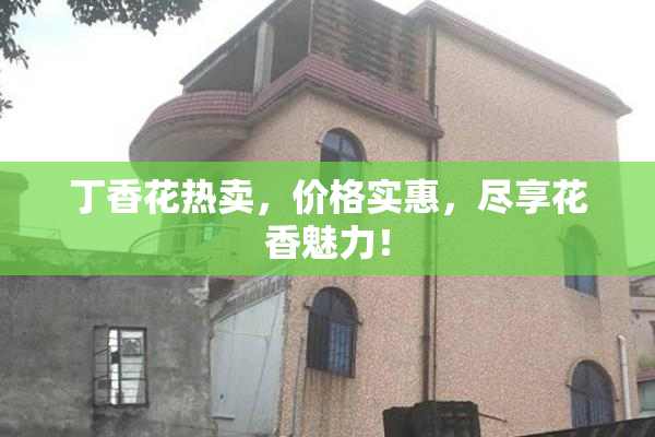 丁香花热卖，价格实惠，尽享花香魅力！