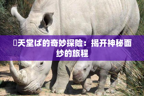 妺天堂ぱ的奇妙探险：揭开神秘面纱的旅程