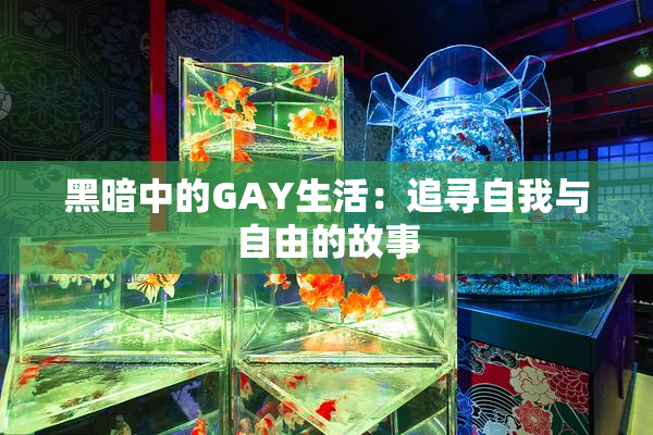 黑暗中的GAY生活：追寻自我与自由的故事