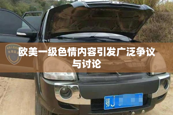 欧美一级色情内容引发广泛争议与讨论