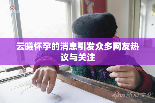 云曦怀孕的消息引发众多网友热议与关注