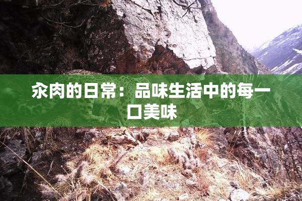 汆肉的日常：品味生活中的每一口美味