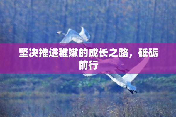 坚决推进稚嫩的成长之路，砥砺前行