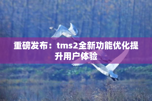 重磅发布：tms2全新功能优化提升用户体验