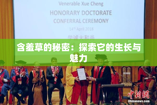 含羞草的秘密：探索它的生长与魅力