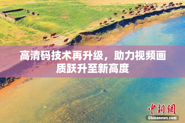 高清码技术再升级，助力视频画质跃升至新高度
