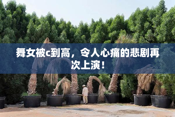 舞女被c到高，令人心痛的悲剧再次上演！