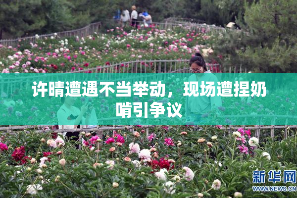 许晴遭遇不当举动，现场遭捏奶啃引争议