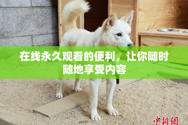 在线永久观看的便利，让你随时随地享受内容
