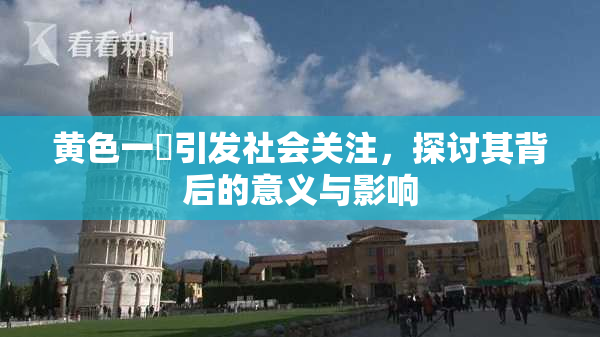 黄色一級引发社会关注，探讨其背后的意义与影响