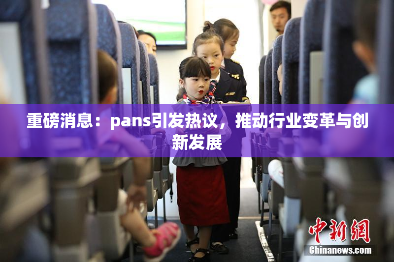 重磅消息：pans引发热议，推动行业变革与创新发展