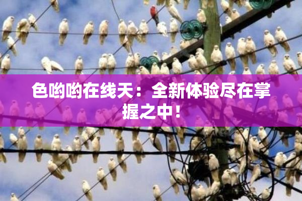 色哟哟在线天：全新体验尽在掌握之中！