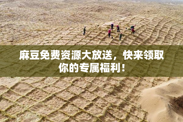 麻豆免费资源大放送，快来领取你的专属福利！