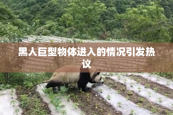 黑人巨型物体进入的情况引发热议