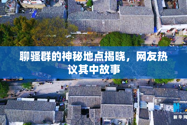 聊骚群的神秘地点揭晓，网友热议其中故事