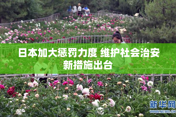 日本加大惩罚力度 维护社会治安新措施出台