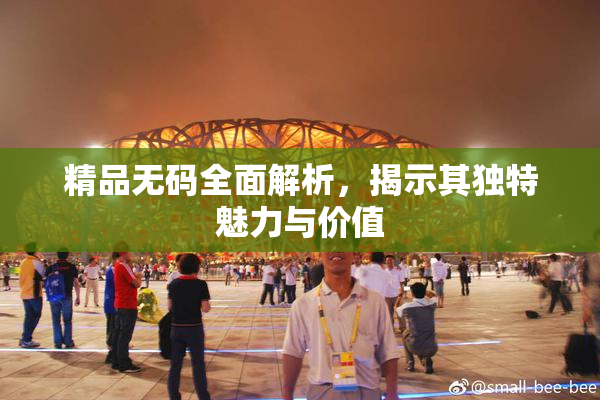 精品无码全面解析，揭示其独特魅力与价值