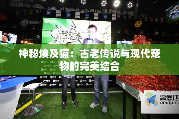神秘埃及猫：古老传说与现代宠物的完美结合