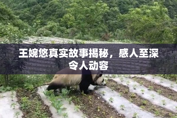 王婉悠真实故事揭秘，感人至深令人动容