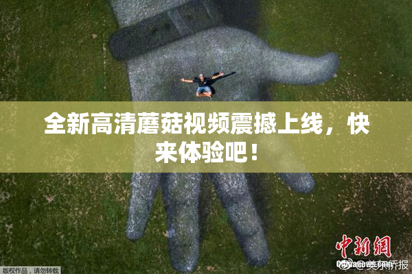 全新高清蘑菇视频震撼上线，快来体验吧！