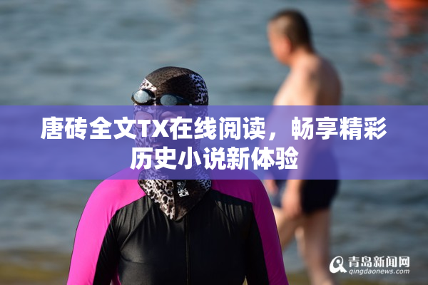 唐砖全文TX在线阅读，畅享精彩历史小说新体验