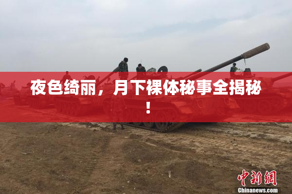 夜色绮丽，月下裸体秘事全揭秘！