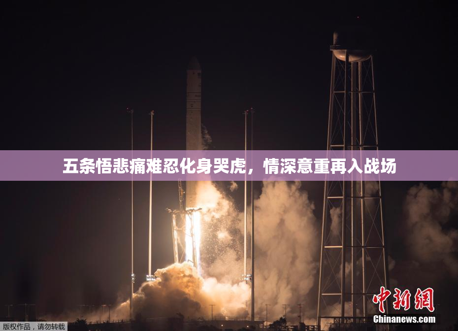 五条悟悲痛难忍化身哭虎，情深意重再入战场