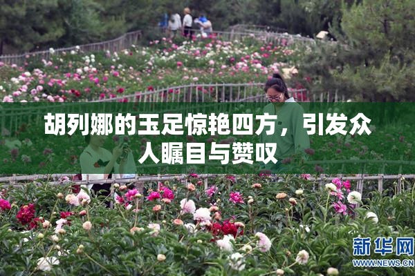胡列娜的玉足惊艳四方，引发众人瞩目与赞叹