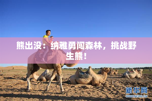 熊出没：纳雅勇闯森林，挑战野生熊！