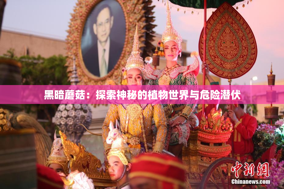黑暗蘑菇：探索神秘的植物世界与危险潜伏