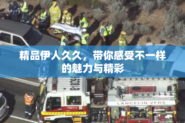 精品伊人久久，带你感受不一样的魅力与精彩