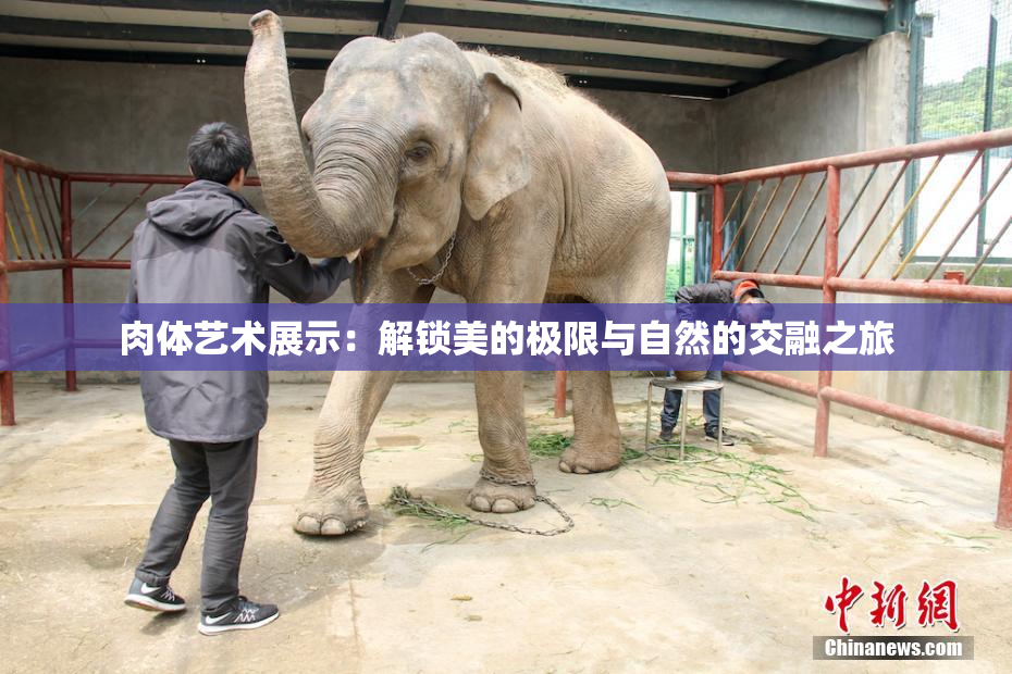 肉体艺术展示：解锁美的极限与自然的交融之旅