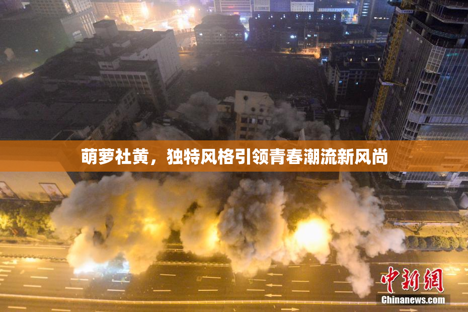 萌萝社黄，独特风格引领青春潮流新风尚