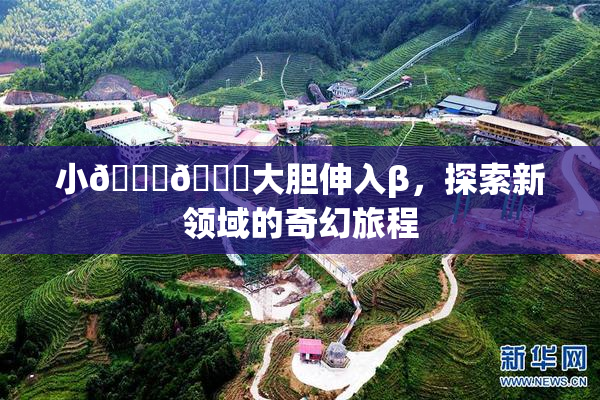 小🐔🐔大胆伸入β，探索新领域的奇幻旅程