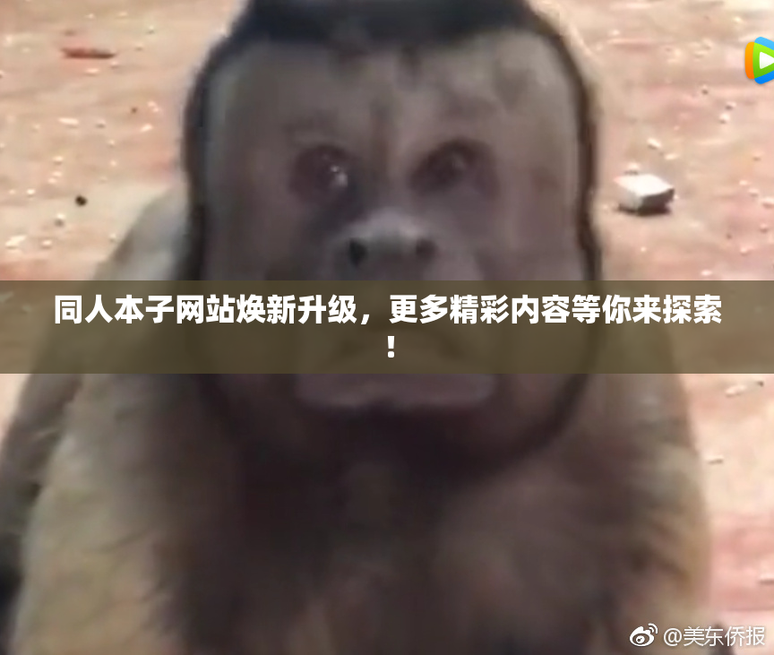 同人本子网站焕新升级，更多精彩内容等你来探索！