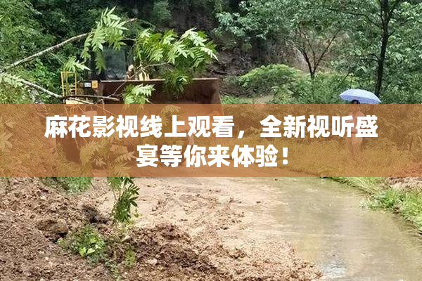 麻花影视线上观看，全新视听盛宴等你来体验！