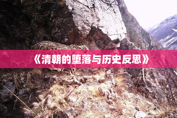 《清朝的堕落与历史反思》