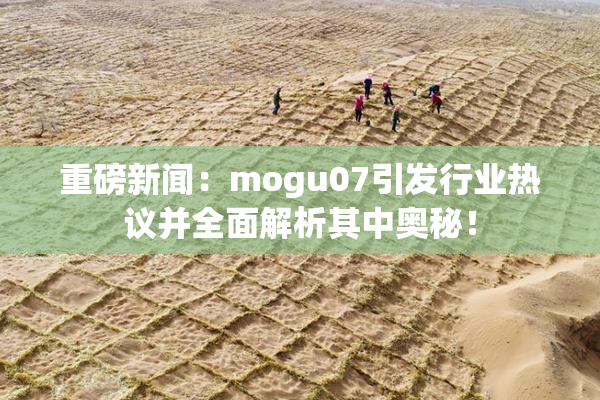 重磅新闻：mogu07引发行业热议并全面解析其中奥秘！