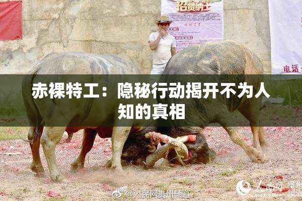 赤裸特工：隐秘行动揭开不为人知的真相
