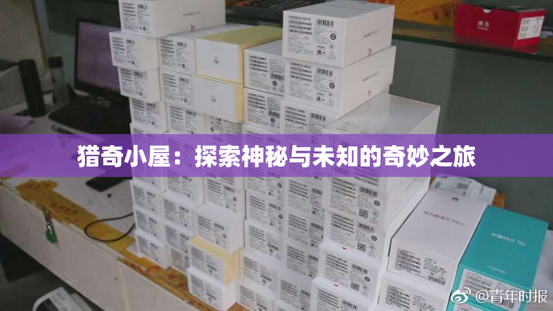 猎奇小屋：探索神秘与未知的奇妙之旅